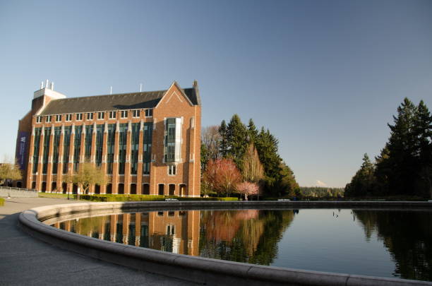 istock Reflections in fountain in university campus, Seattle 1217501622