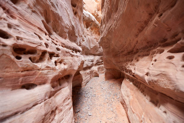istock Rainbow Vista, Valley of Fire 1217503911