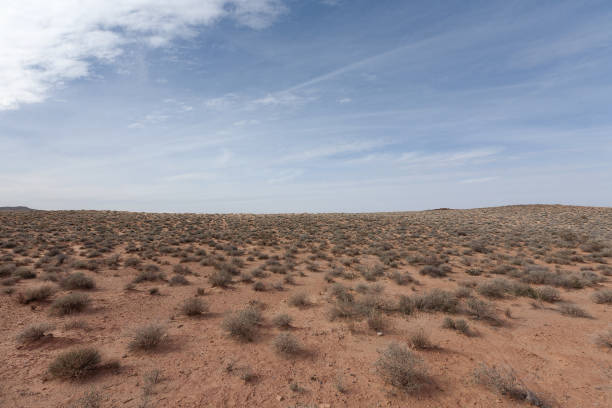 istock Rainbow Vista, Valley of Fire 1217505004