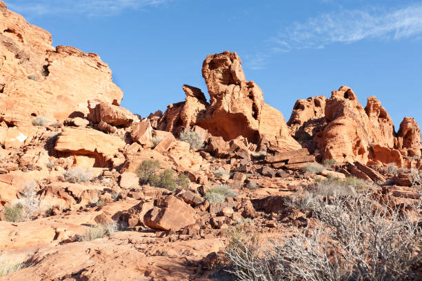 istock Valley of Fire State Park 1217510216