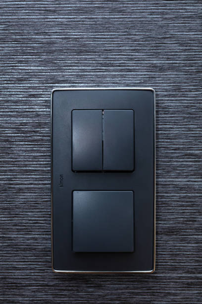 istock Modern interior design details - black switches and elegant wallpaper 1217510976