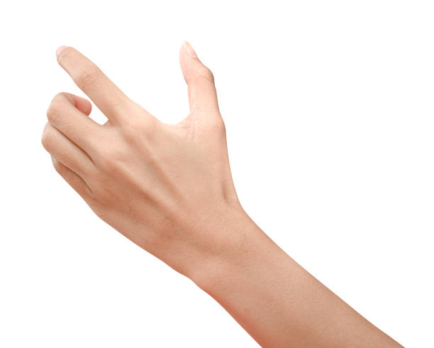 hand holding something like a bottle or can Close up hand holding something like a bottle or can isolated on white background with clipping path. woman hand holding drink stock pictures, royalty-free photos & images