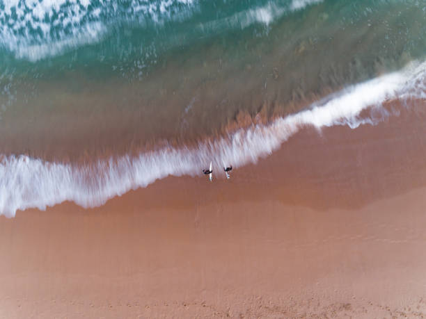 istock Surfer at Curl Curl Beach, Sydney Australia aerial 1217514259