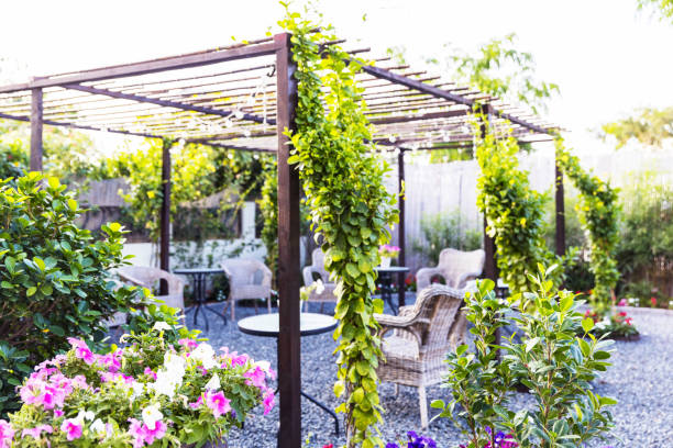 istock Beautiful Garden Patio Setup with Growing Creepers 1217515436