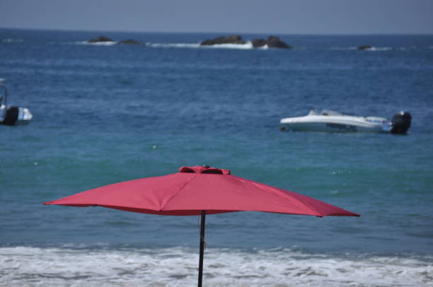 transats et parasols sur la côte adriatique, sur une plage de sable en italie. repos et détente pendant les vacances dans un pays chaud et ensoleillé. - travel locations sea mediterranean sea wind photos et images de collection