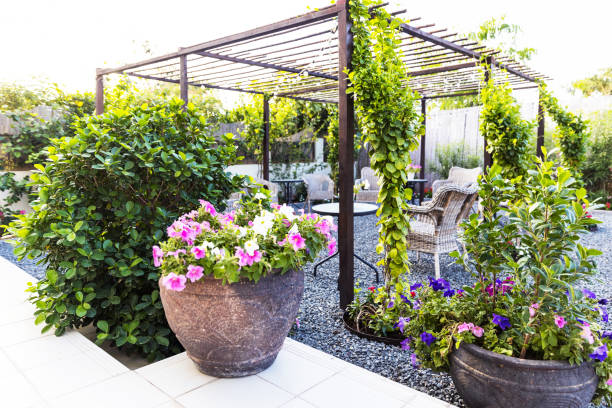 istock Beautiful Garden Patio Setup with Growing Creepers 1217515548