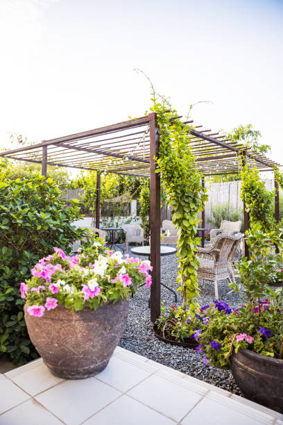 istock Beautiful Garden Patio Setup with Growing Creepers 1217515632