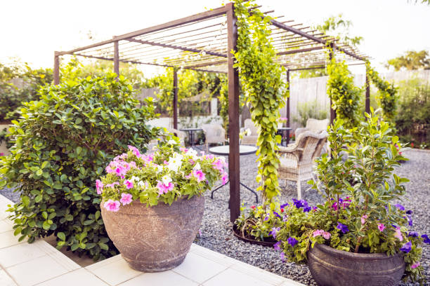istock Beautiful Garden Patio Setup with Growing Creepers 1217515739
