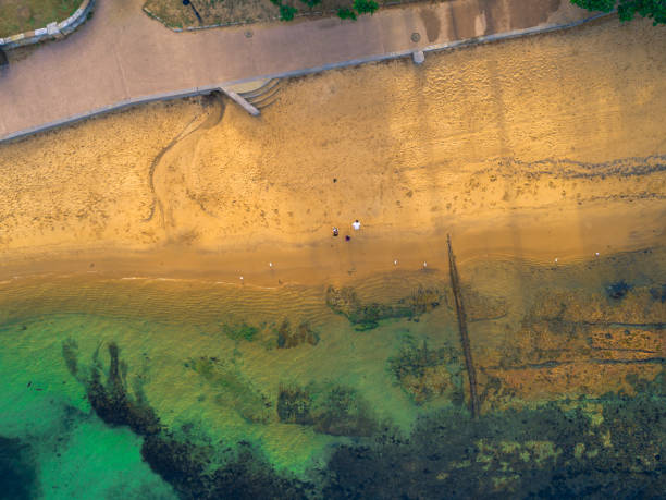 istock Watsons Bay, Sydney Australia aerial 1217516865