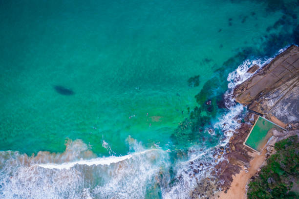 istock Ocean Pool at Whale Beach, Australia 1217516973