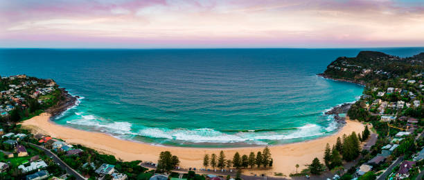 istock Whale and Palm beach, Sydney Australia 1217516980