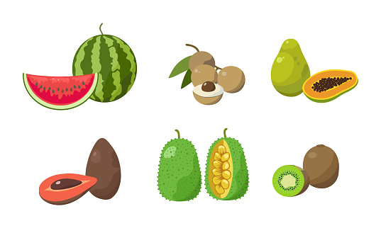 Collection set of various sliced tropical exotic fruits. Watermelon, longan, papaya, avocados, jackfruit, kiwi. Isolated icons set illustration on a white background in cartoon style.