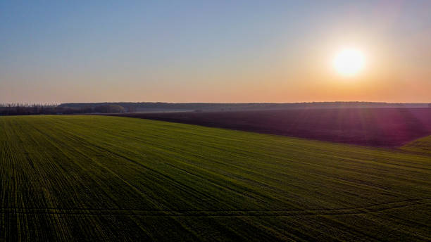 istock Sunset over wheat crops and cultivated fields to crops of different plants. 1217527713