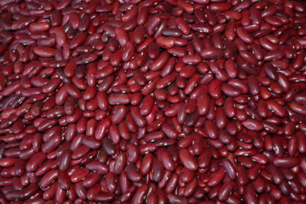 istock Kidney bean, Red kidney bean 1217528567