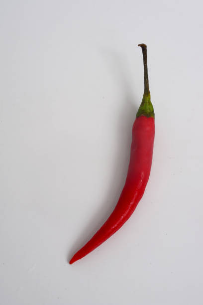 istock Red chili on white background with copy space for text 1217528714