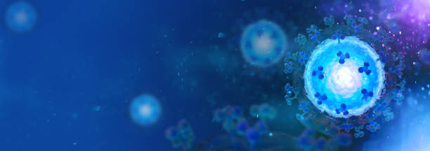 istock Coronavirus COVID-19 under the microscope. Sars-CoV-2 background with copy space 1217531022