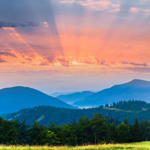istock sunrise over a green mountains 1217531414