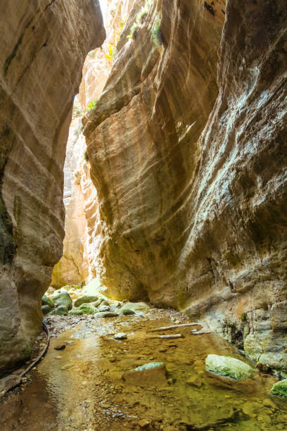 istock avakas canyon, cyprus 1217531717
