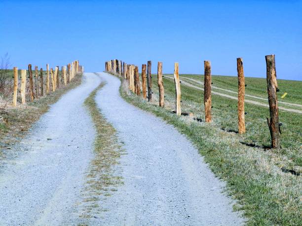 istock Dirt road and pen for cattle 1217532595