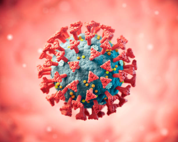 istock COVID-19 or 2019-ncov coronavirus 1217534594
