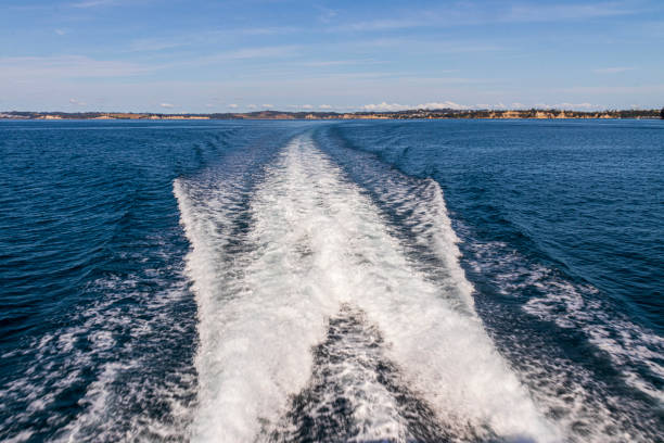 Wake boat at Tiritiri Island in New Zealand