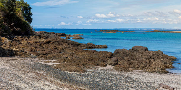 istock Coast line at Tiritiri Maganti Island. 1217534691