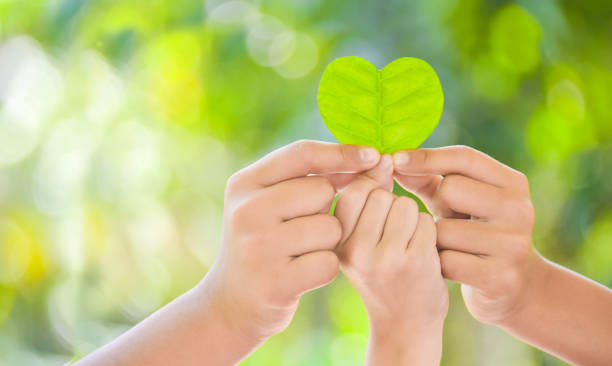 istock Hands holding green heart shaped tree and planting trees, loving the environment and protecting nature Nourishing the plants World Environment Day To help the world look beautiful, Forest conservation concept. 1217534896