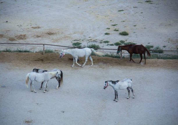 Asia, Cappadocia, Thailand, Turkey - Middle East, Adventure
