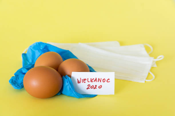 istock Eggs lying on protection gloves, 