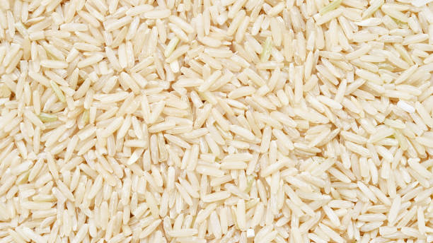 istock close up shot of the rice 1217538206