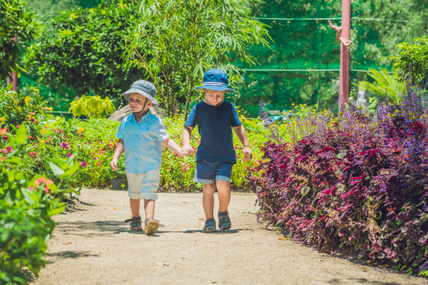 istock Two happy brothers go together on a park path in a tropical park 1217541644