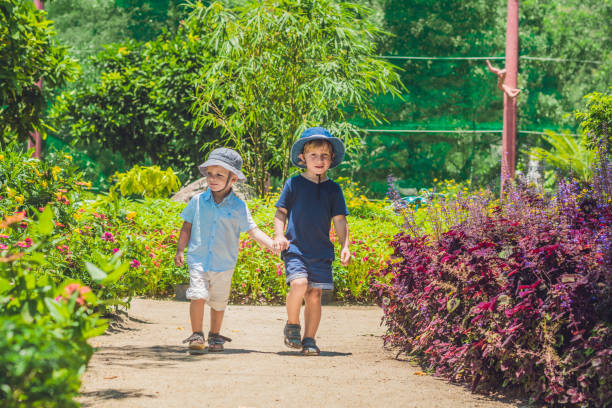 istock Two happy brothers running together on a park path in a tropical park 1217541645
