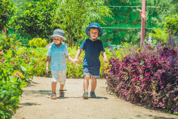 istock Two happy brothers running together on a park path in a tropical park 1217541650