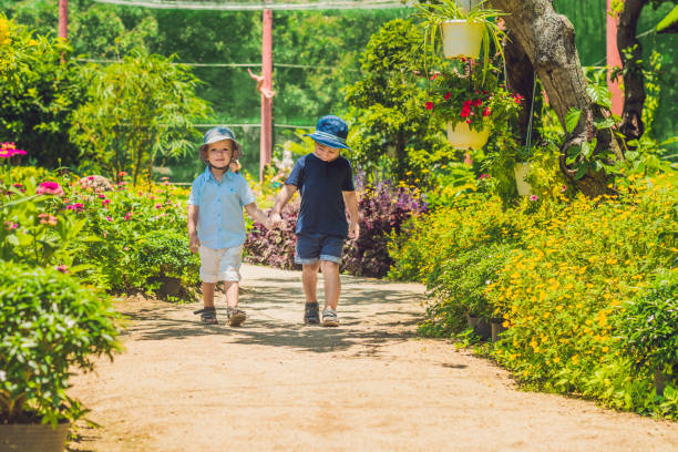 istock Two happy brothers running together on a park path in a tropical park 1217541654