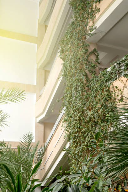 istock Green plants in botanical garden indoor. 1217542257