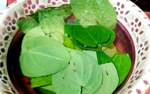 istock Fresh Indian paan/betel leave in basket. 1217544991