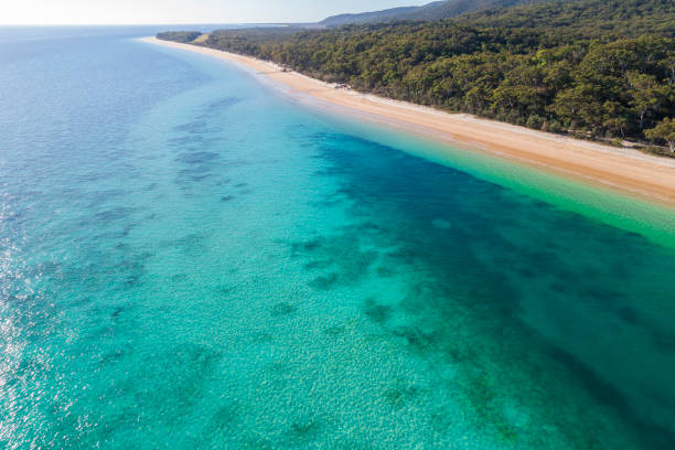 istock Moreton Island, Queensland, Australia from above 1217545159