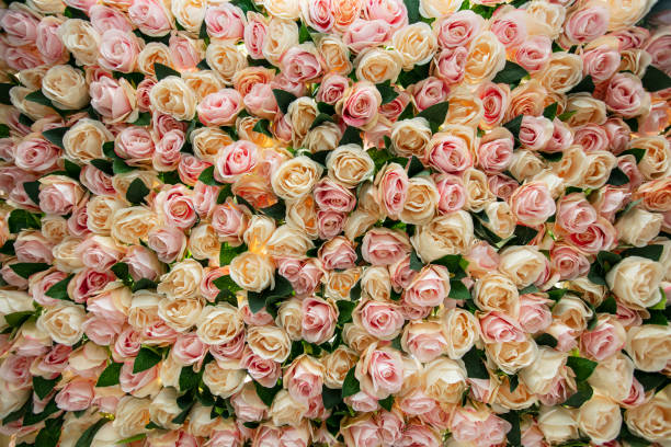 istock Beautiful floral wall with pink and white roses. 1217545906