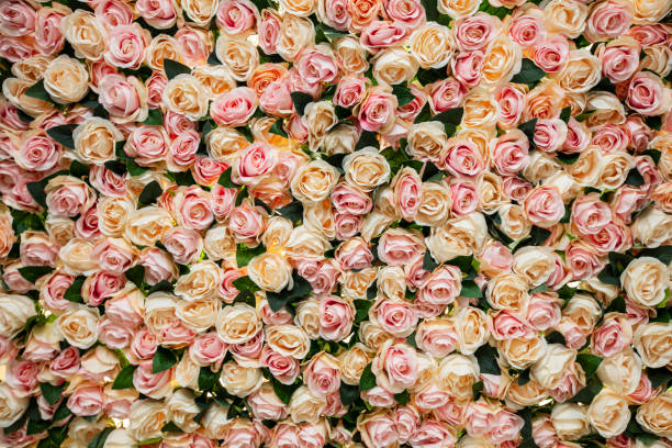 istock Beautiful floral wall with pink and white roses. 1217545965