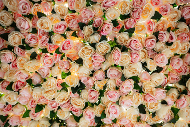 istock Beautiful floral wall with pink and white roses. 1217545985