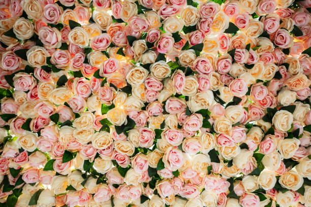 istock Beautiful floral wall with pink and white roses. 1217546082
