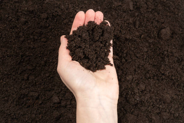 istock Woman hand holding ground. 1217546329