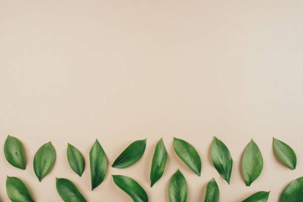istock Natural background created from fresh green leaves. 1217548167