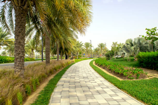 Tiled sidewalk among the road with green palms stock photo