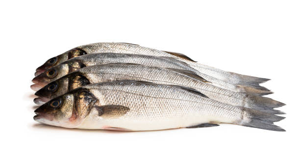 istock Raw whole seabass fish isolated on white 1217550213
