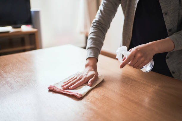 istock Woman sanitizes table at home with alcohol 1217551727