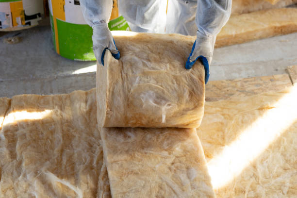 istock Foreman in overalls working with rockwool insulation material 1217553406