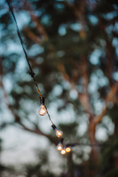 istock Party lights hanging between trees at dusk 1217553469