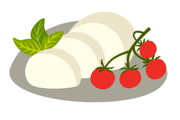 käse buffalo mozzarella vektor-illustration - mozzarella stock-grafiken, -clipart, -cartoons und -symbole