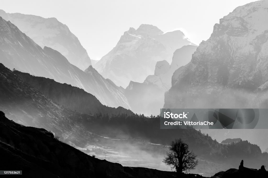 Morning in foggy mountains. Black and white mountain background Black And White Stock Photo